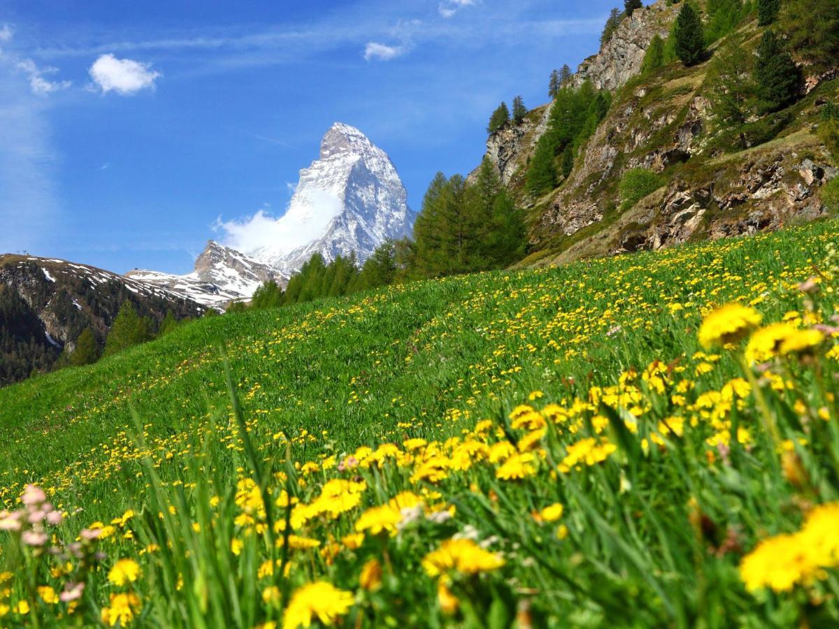 Imperial-1 By Interhome Zermatt